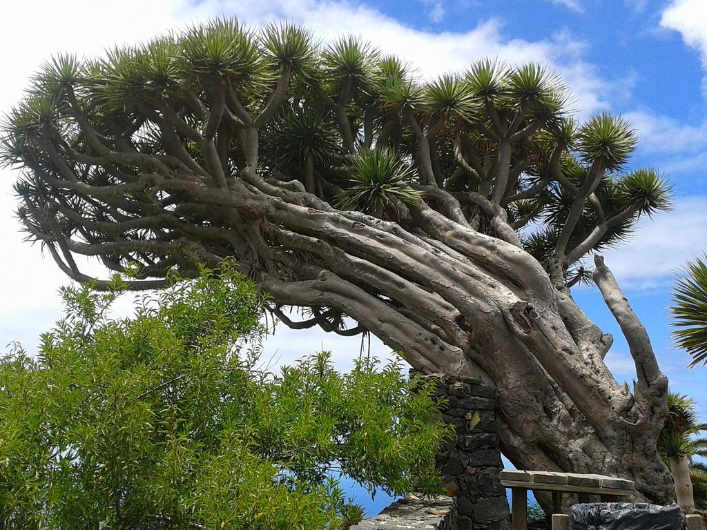 La Palmerita Vacacional Los Llanos De Aridane Bagian luar foto