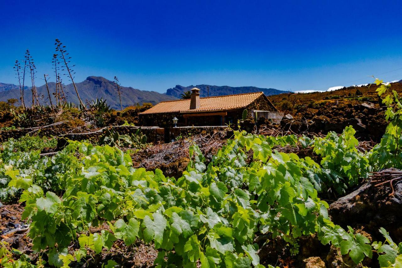 La Palmerita Vacacional Los Llanos De Aridane Bagian luar foto